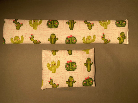 Cute Catus
