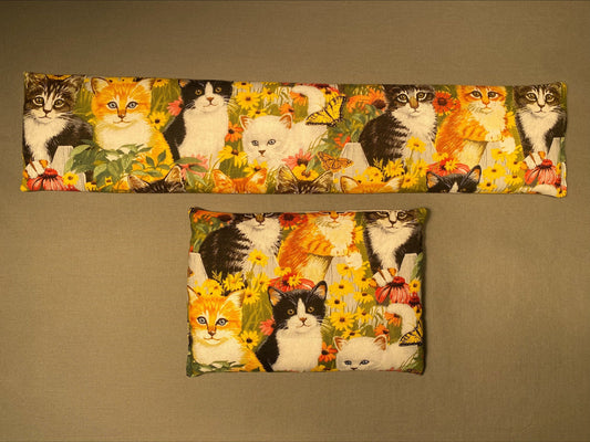 Playful Cats
